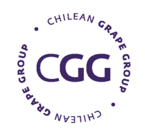 Chilean_grape_group-300x283